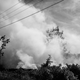 A fire in one of the fields in East Nusa Tenggara, Indonesia. The province suffers drought and fire.